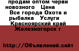 продам оптом черви новозного › Цена ­ 600 - Все города Охота и рыбалка » Услуги   . Красноярский край,Железногорск г.